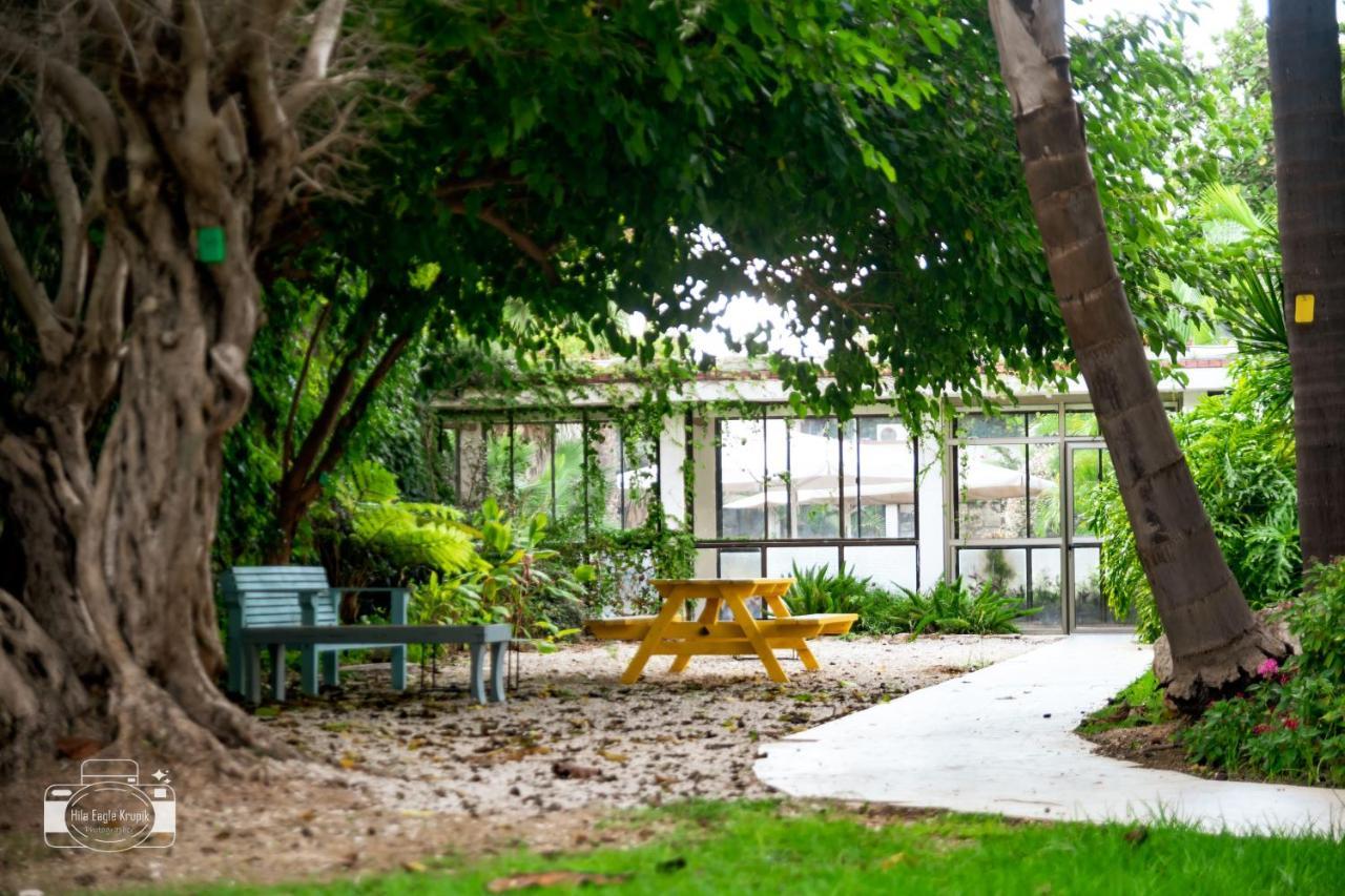 Eden Inn Zikhron Yaakov Bagian luar foto